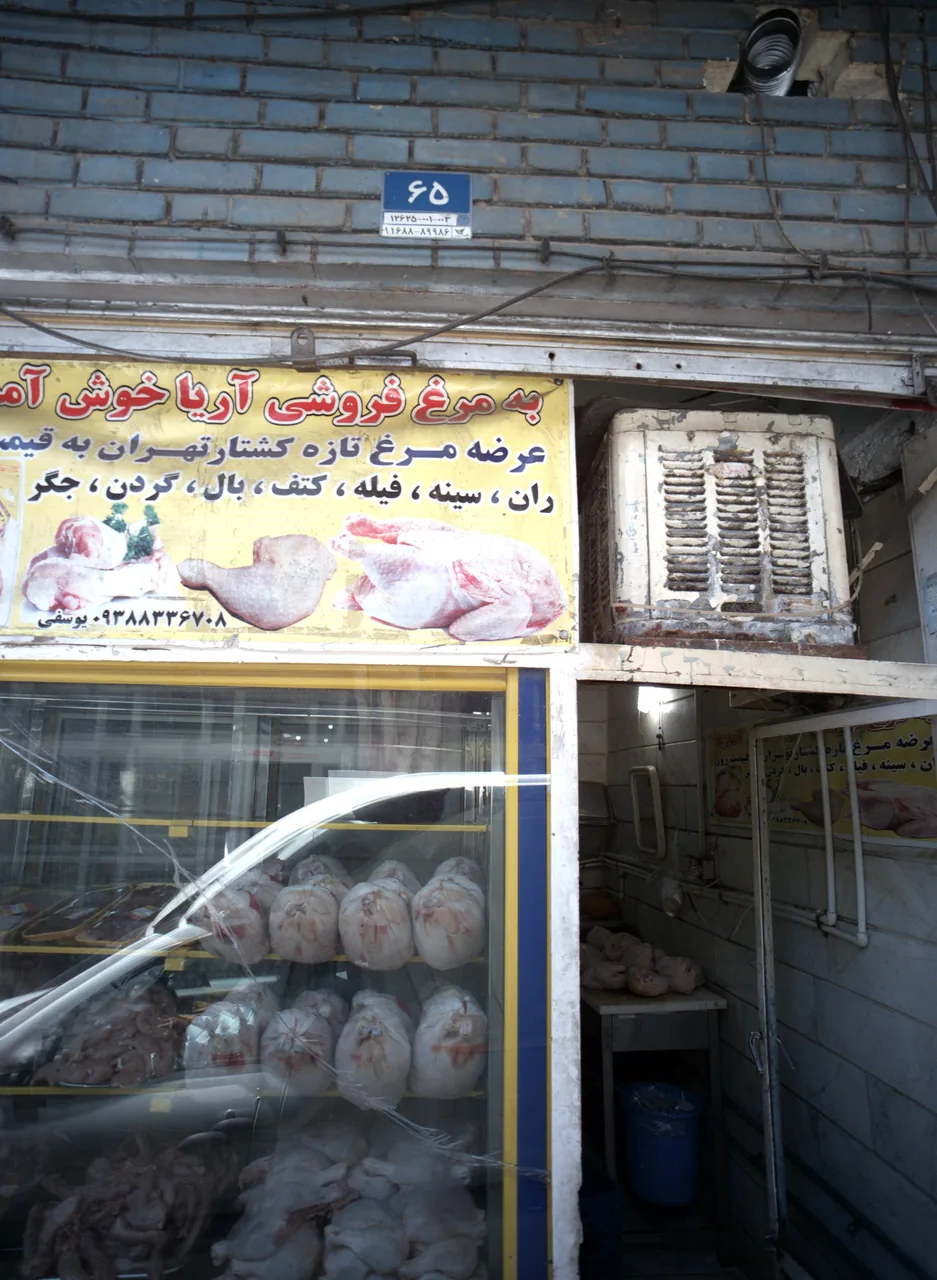 مرغ فروشی آریا