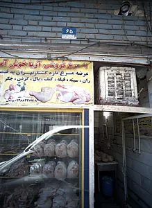 مرغ فروشی آریا
