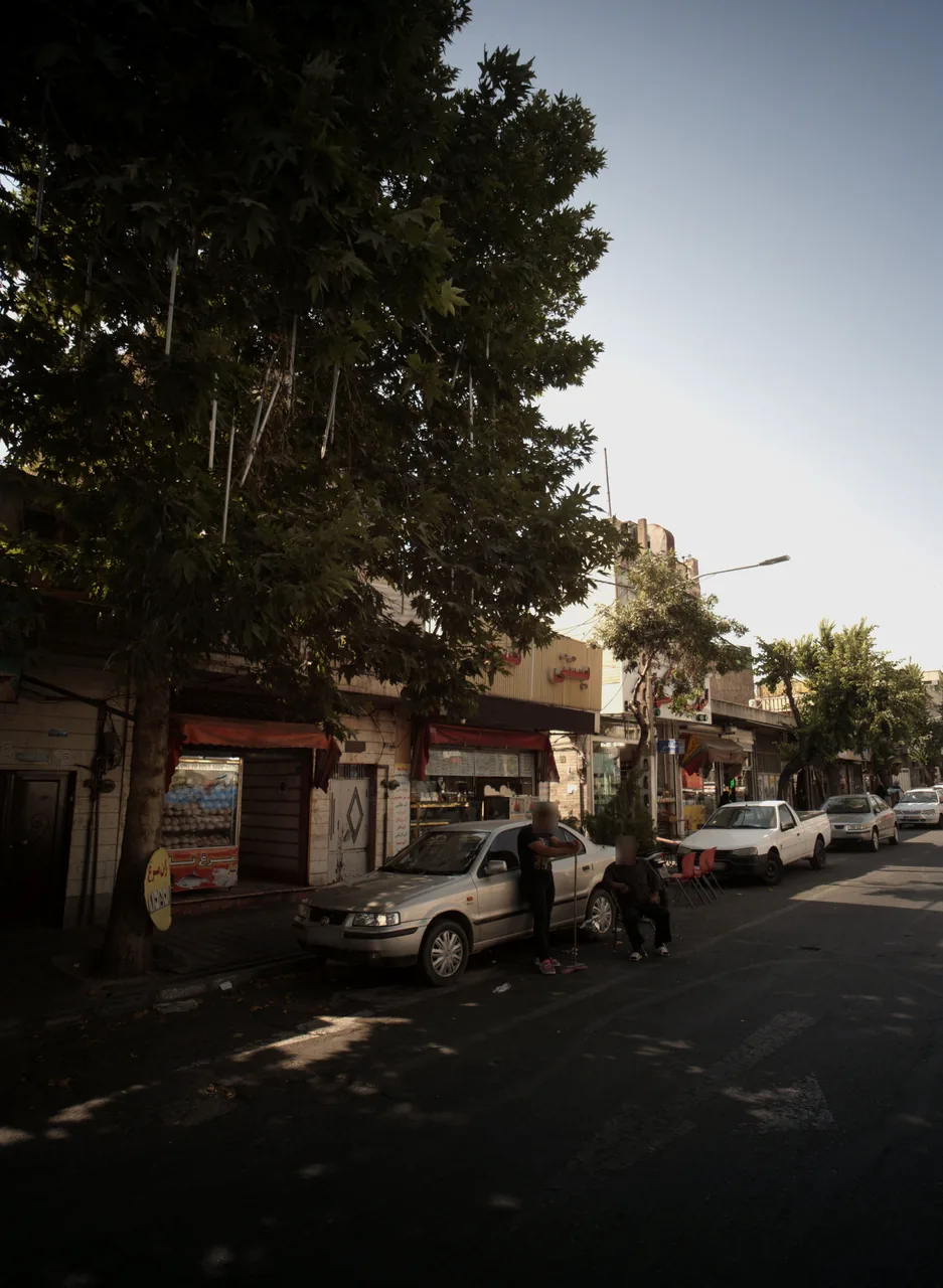 مرغ فروشی - تصویر 2