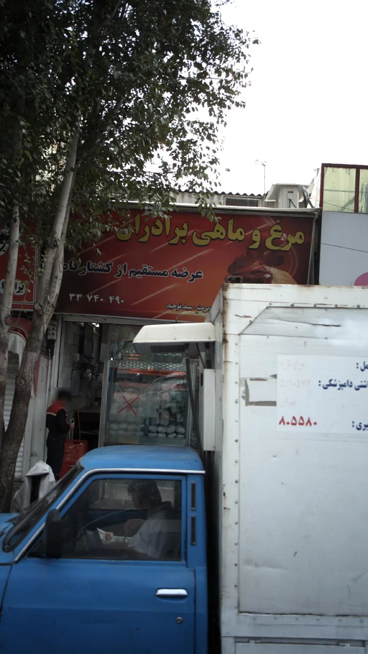 مرغ و ماهی برادران