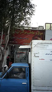 مرغ و ماهی برادران