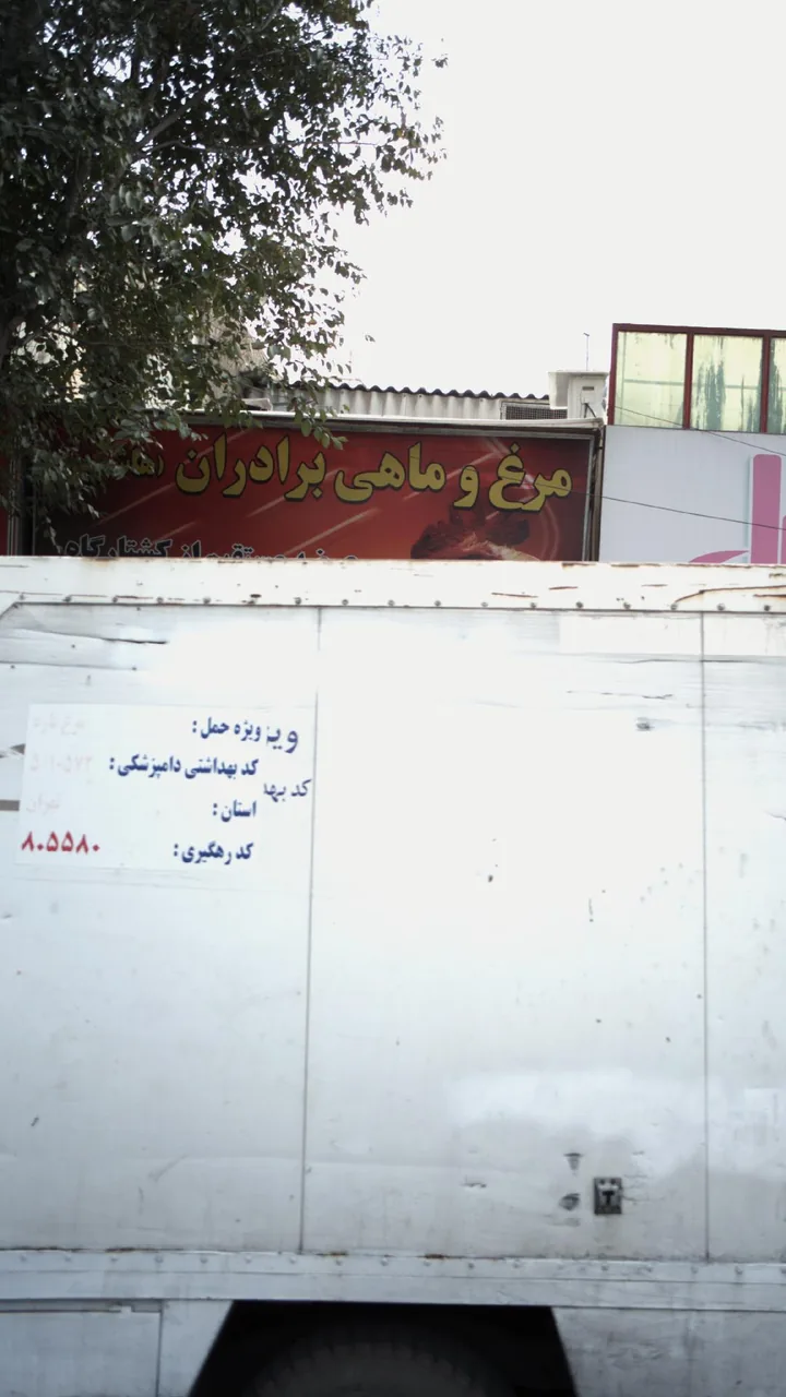 مرغ و ماهی برادران - تصویر 2
