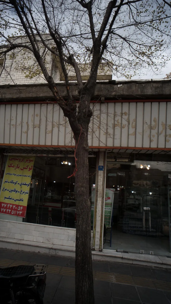 سوپر پروتئینی لوکس نارمک