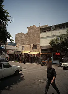 پروتئینی