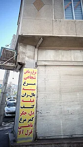 مرغ و ماهی شجاعی