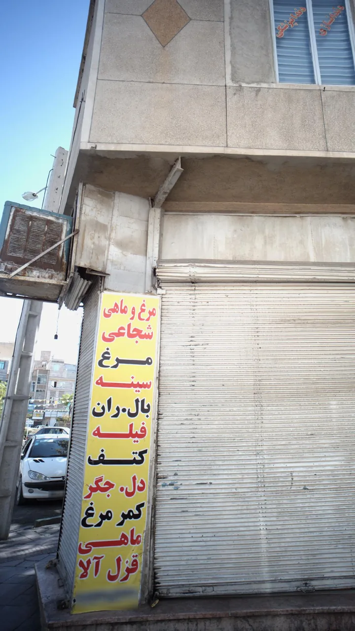 مرغ و ماهی شجاعی