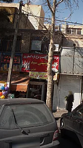 پروتئینی سید