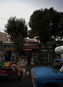 پروتئینی