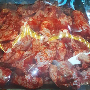 مرغ و ماهی ایلیا