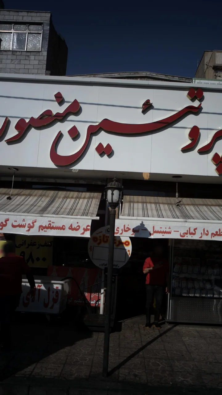 پروتئینی منصور - تصویر 2