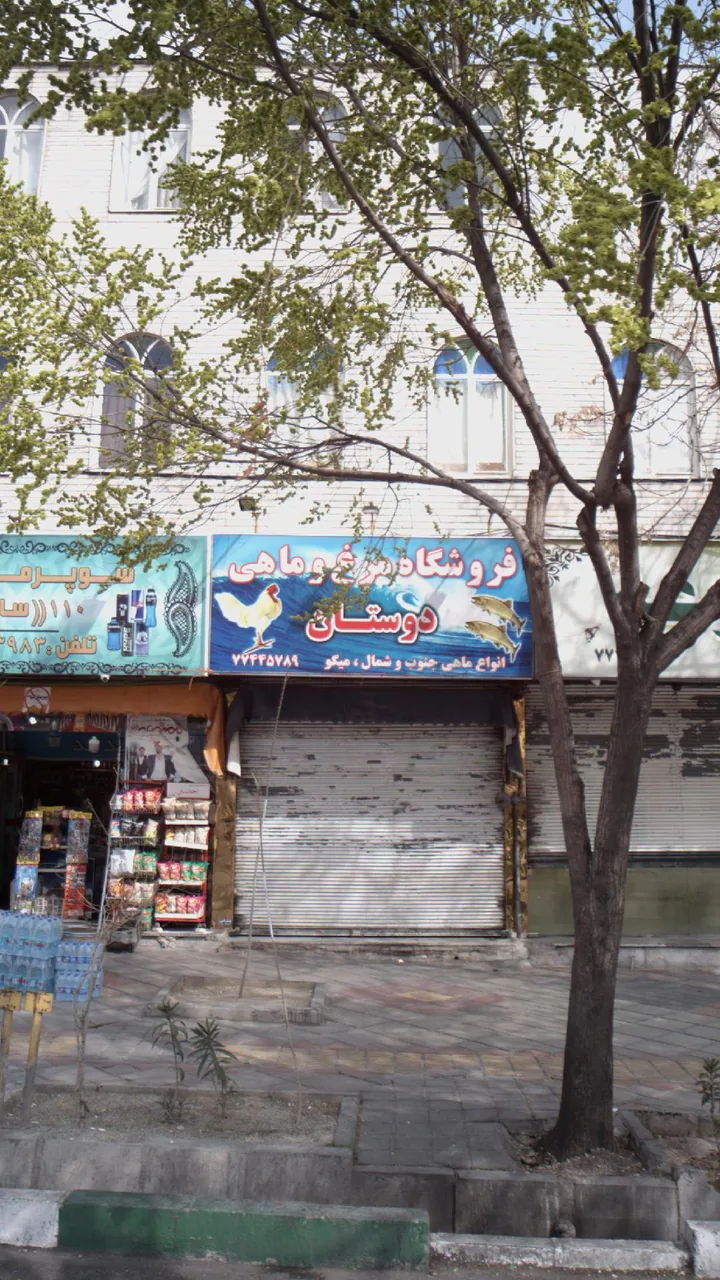 فروشگاه مرغ وماهی دوستان - تصویر 2