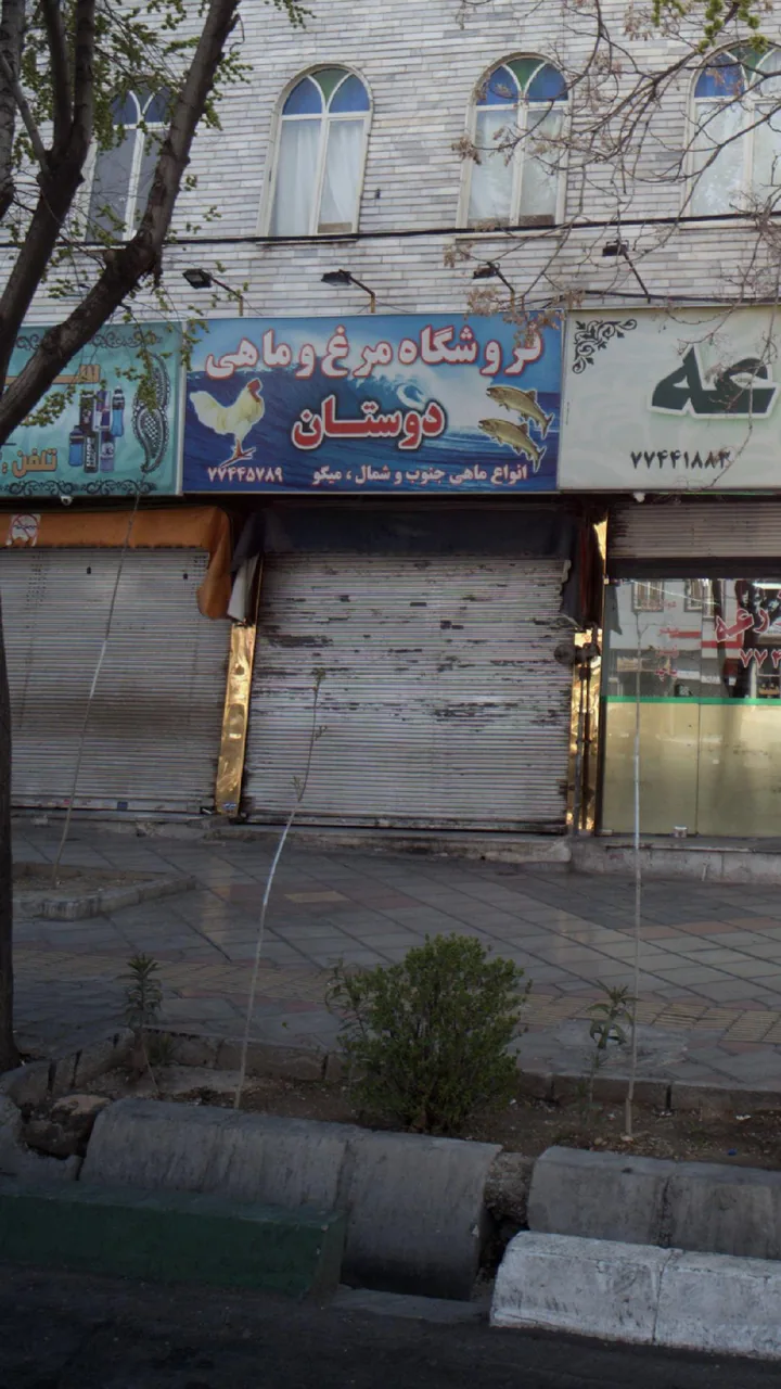 فروشگاه مرغ وماهی دوستان - تصویر 3