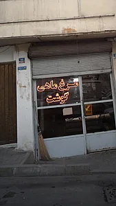 فروشگاه و مواد پروتئینی