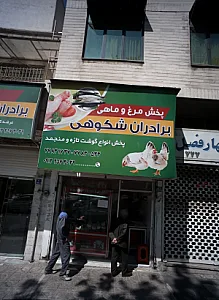 پخش مرغ و ماهی برادران شکوهی