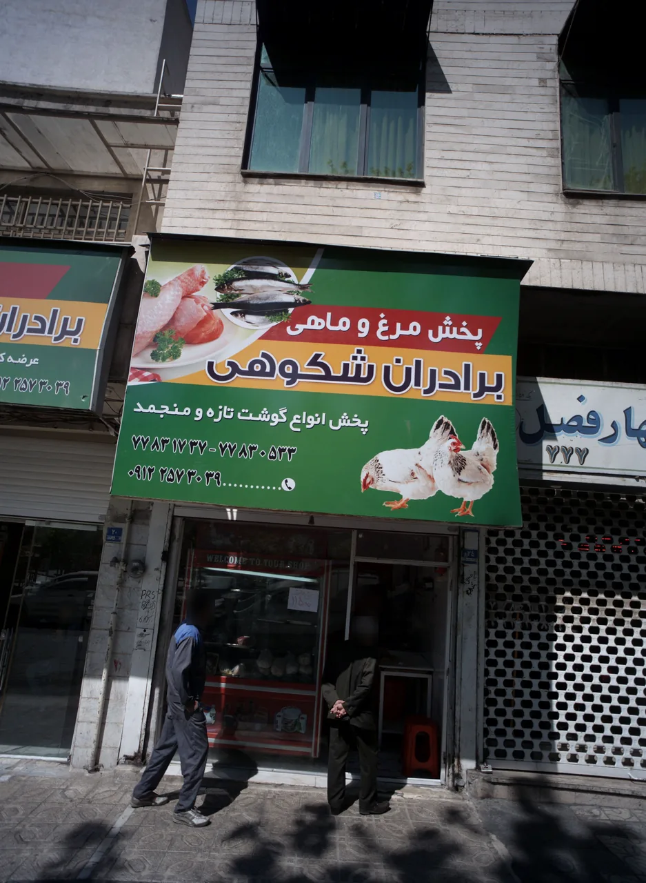 پخش مرغ و ماهی برادران شکوهی
