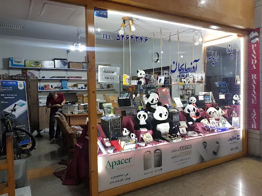 پاندا رایانه