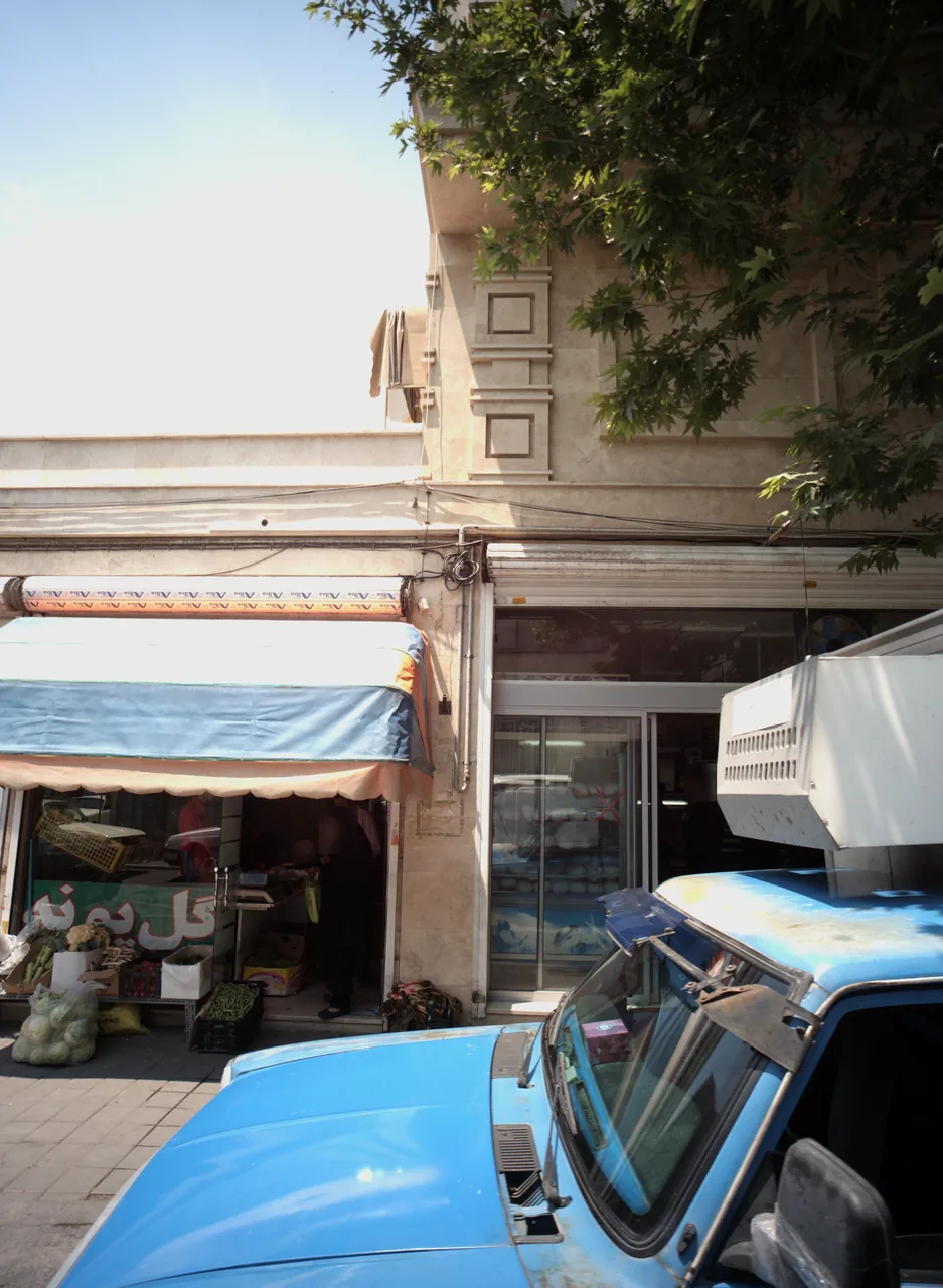 پروتئینی