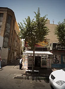 مرغ و ماهی نمونه