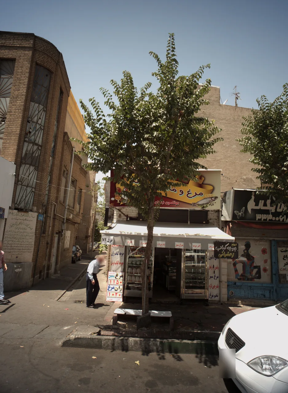 مرغ و ماهی نمونه