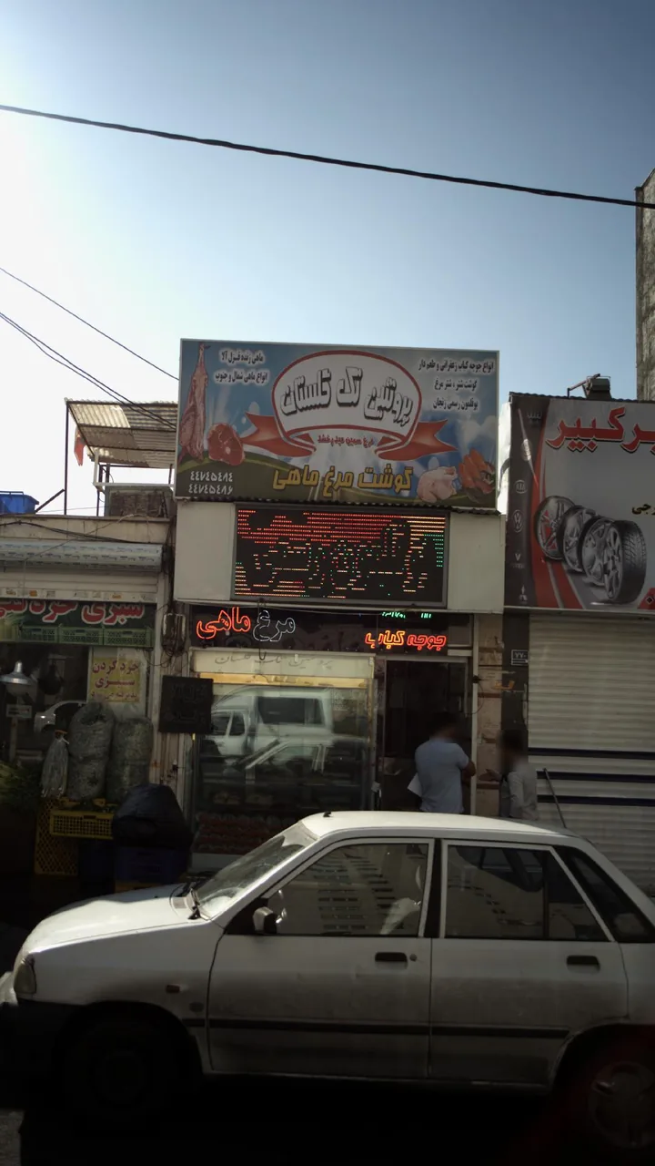 پروتئینی تک گلستان - تصویر 3