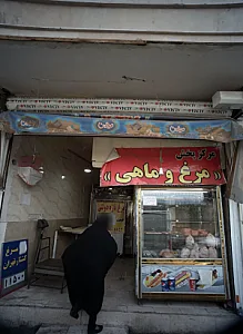 مرکز پخش مرغ و ماهی