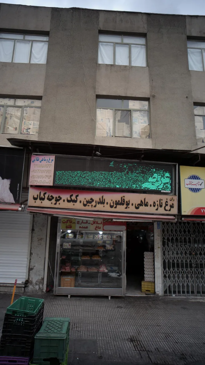 مرغ و ماهی طلایی