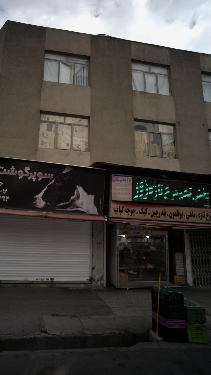 مرغ و ماهی طلایی - تصویر 2