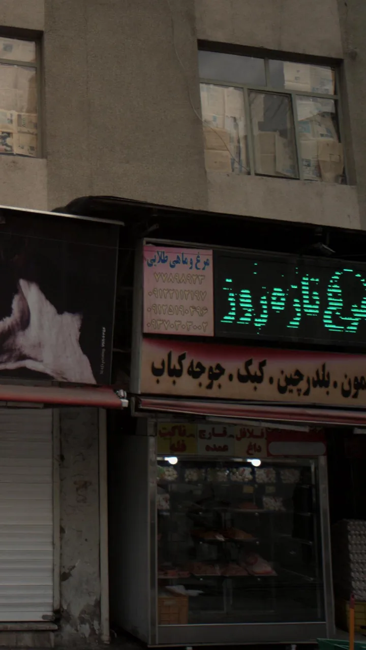 مرغ و ماهی طلایی - تصویر 3