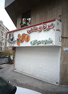مرغ و ماهی نارنج