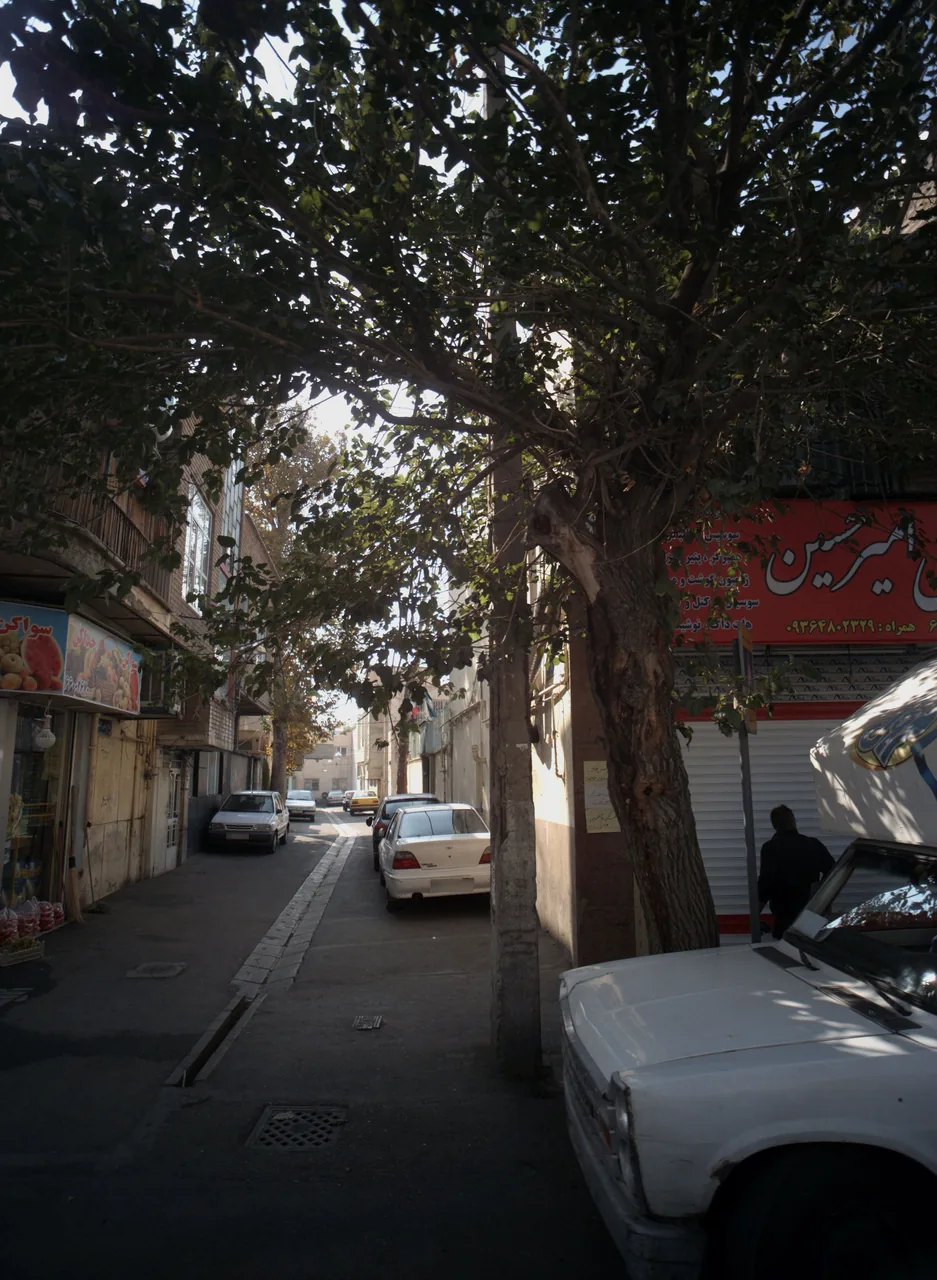 پروتئینی امیر حسین