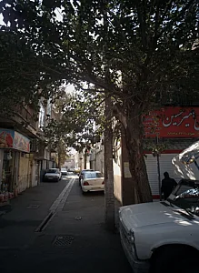 پروتئینی امیر حسین