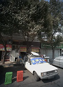 مرغ و ماهی پارسا