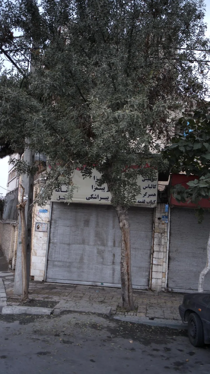 پروتئینی