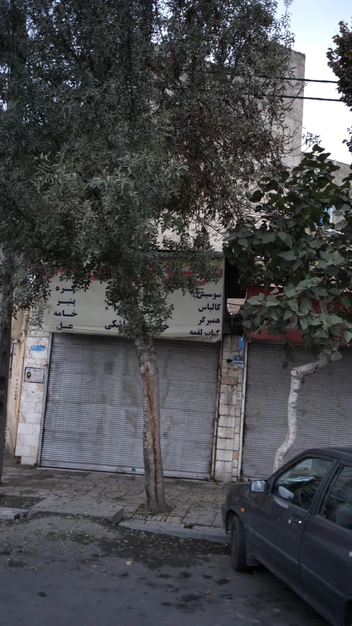 پروتئینی - تصویر 2