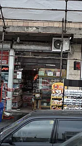 پروتئینی