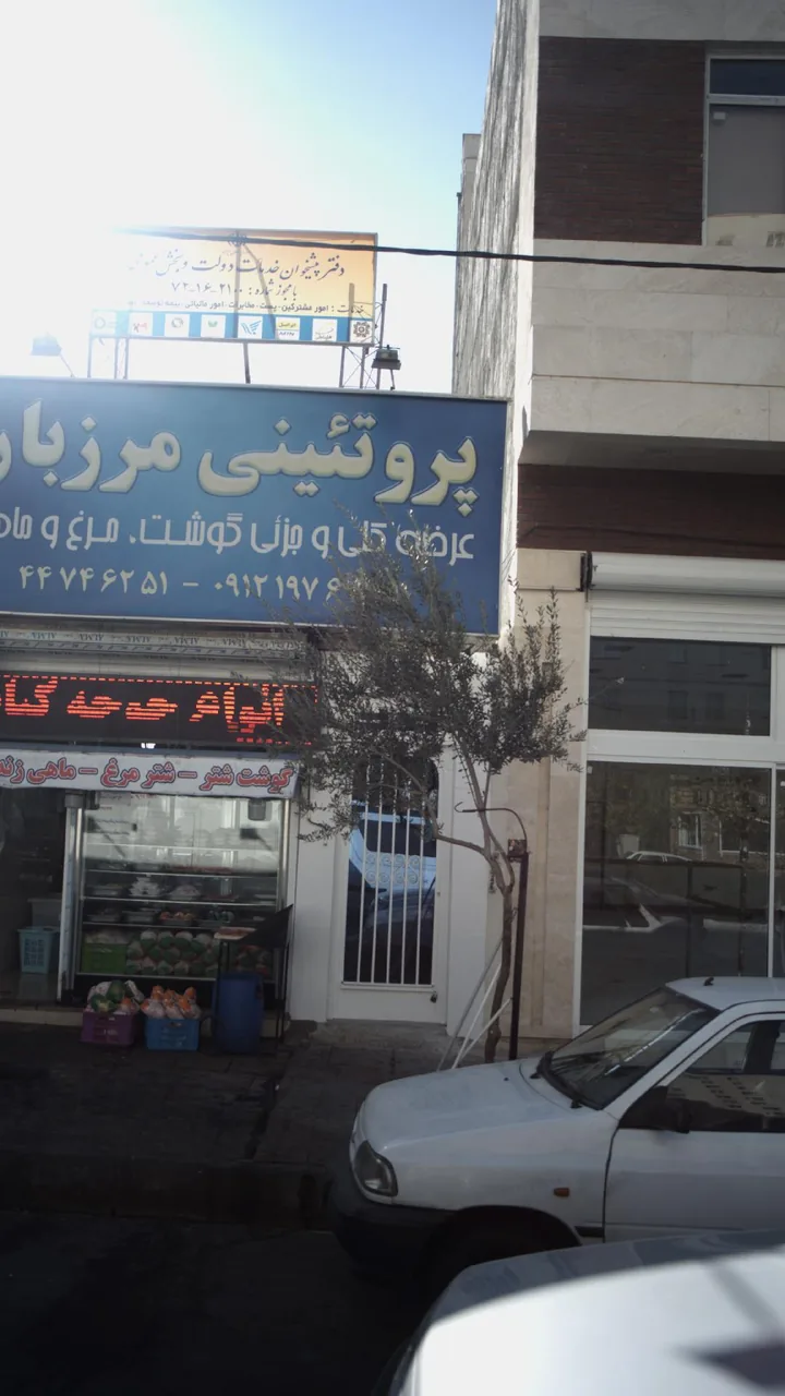 پروتئینی مرزبان - تصویر 2