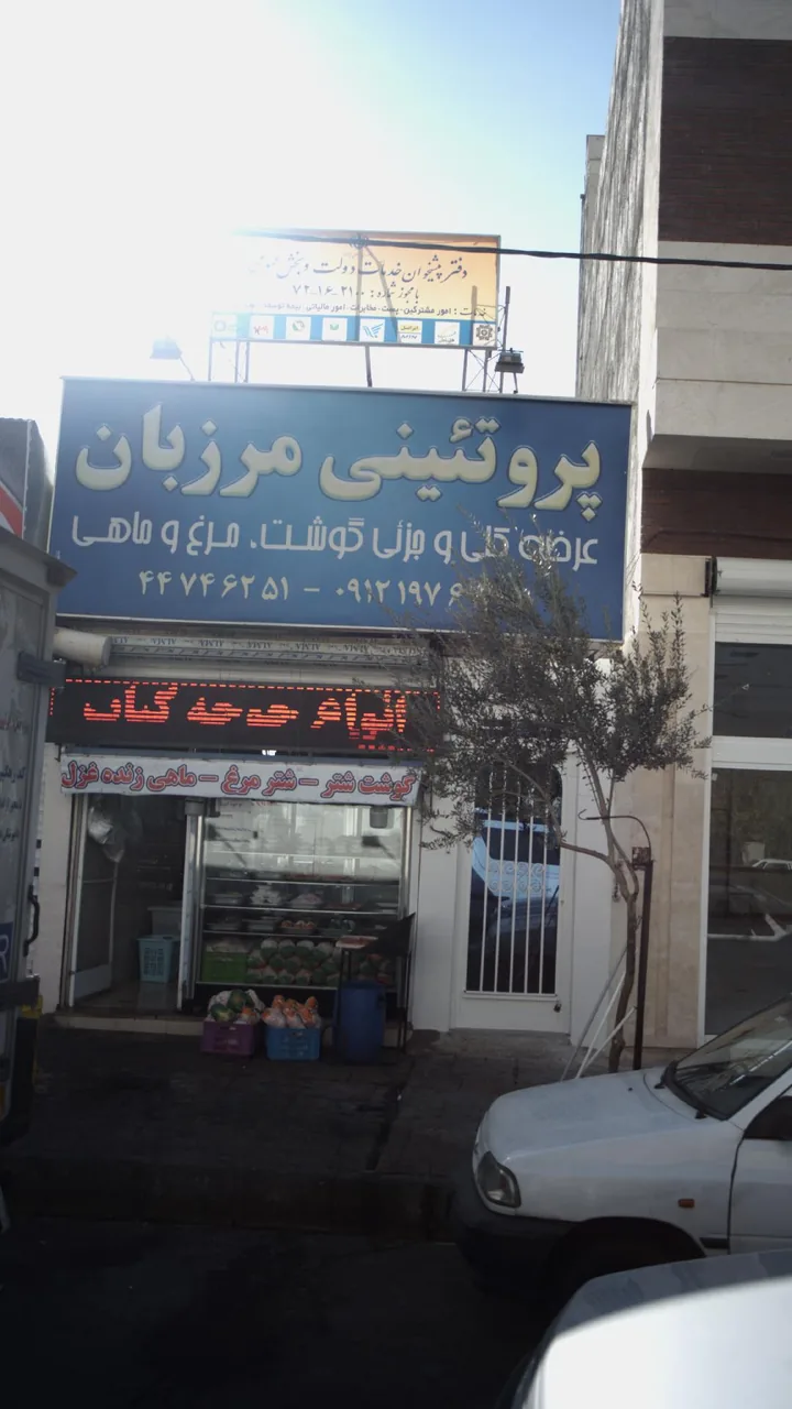 پروتئینی مرزبان - تصویر 3