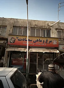 مرغ و ماهی سعادت نیا