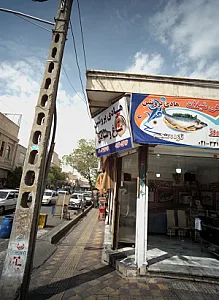 هادی پروتئین مرغ و ماهی