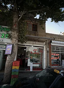 سوپر مرغ وماهی 110