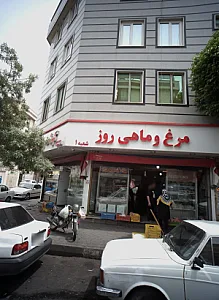 مرغ و ماهی روز