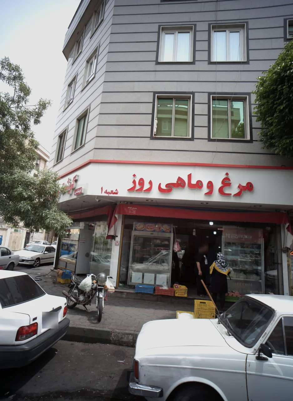 مرغ و ماهی روز