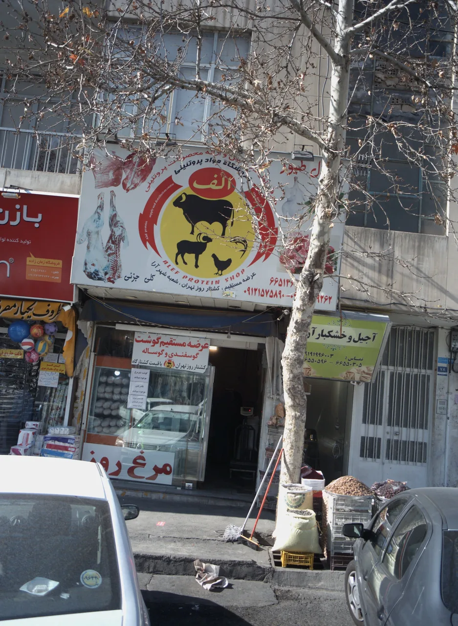 فروشگاه مواد پروتئینی الف