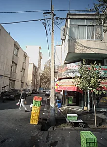 سوپر مرغ و ماهی نبرد