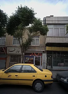 پروتئینی