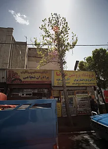 فرآورده های پروتئینی برادران شجاعی
