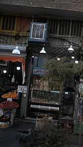 مرغ و ماهی