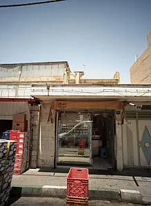 پروتئینی