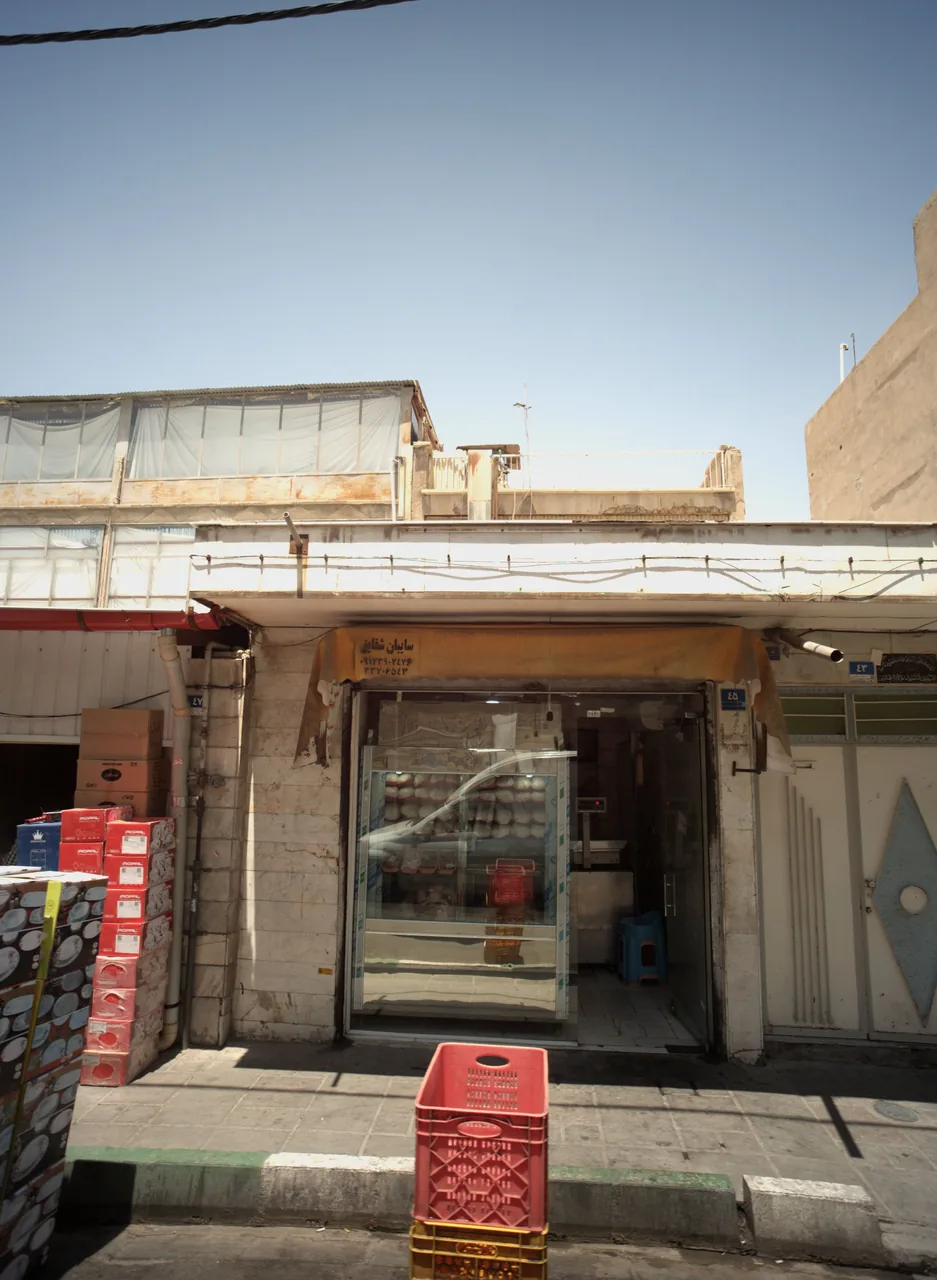 پروتئینی