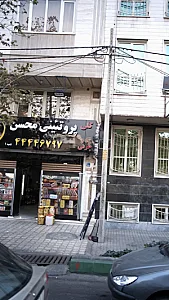 پروتیینی محسن